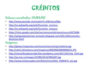 CRÉDITOS
Enlaces consultados: (11/03/12)
• http://www.youtube.com/watch?v=2WzVyunZ9kg
• http://es.wikipedia.org/wiki/Eunectes_murinus
• http://es.wikipedia.org/wiki/Eunectes_notaeus
• https://sites.google.com/site/seccionscoutubirajara/sucurui%C3%BA
• http://peligrodeextincion-animales.blogspot.com/2011/02/eunectes-
  beniensis.html
Imágenes:
• http://galeon.hispavista.com/constrictores/img/culebrita.jpg
• http://cdn2.ultimahora.com/imagenes/000/008/0000008255.JPG
• http://maravilhasdocerrado.files.wordpress.com/2011/02/img_3514.jpg
• http://sp.rian.ru/images/14780/24/147802447.jpg
• http://www.visitaecuador.com/fotos/inicio/foto_XKZbiK7e_gra.jpg
 