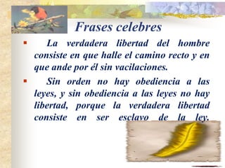 Los Decretos-LeyesDefinición       Son disposiciones sancionadas por los gobiernos de facto, que generalmente contienen normas jurídicas contrarias al ordenamiento legal vigente.