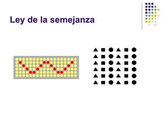 Ley de la semejanza