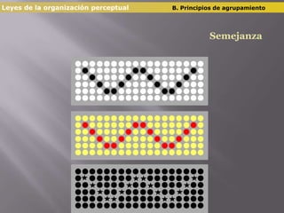 Leyes de la organización perceptual  		B. Principios de agrupamientoSemejanza