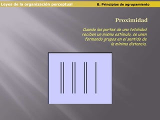 Leyes de la organización perceptual  		B. Principios de agrupamientoProximidadCuando las partes de una totalidad reciben un mismo estímulo, se unen formando grupos en el sentido de la mínima distancia. 