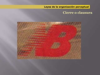 Leyes de la organización perceptualCierre o clausura