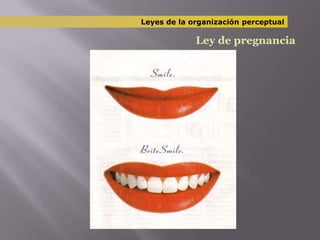 Leyes de la organización perceptualLey de pregnancia