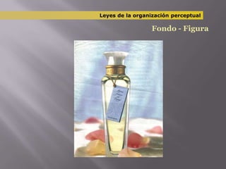 Leyes de la organización perceptualFondo - Figura