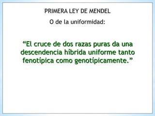 “El cruce de dos razas puras da una
descendencia híbrida uniforme tanto
fenotípica como genotípicamente.”
PRIMERA LEY DE MENDEL
O de la uniformidad:
 