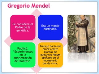 Se considera el
Padre de la
genética.
Era un monje
austriaco.
Publicó:
“Experimentos
en la
Hibridización
de Plantas”.
Trabajó haciendo
cruces entre
plantas de
guisantes Pisum
sativum en el
monasterio
donde vivía.
 