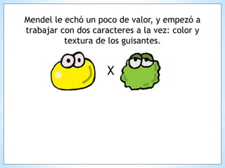 Mendel le echó un poco de valor, y empezó a
trabajar con dos caracteres a la vez: color y
textura de los guisantes.
X
 