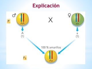 Explicación
 