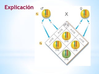Explicación
 