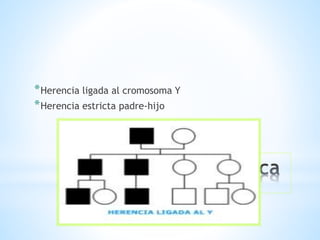 *
*Herencia ligada al cromosoma Y
*Herencia estricta padre-hijo
 