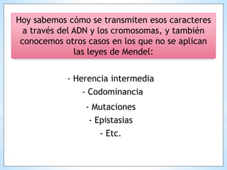 Hoy sabemos cómo se transmiten esos caracteres
a través del ADN y los cromosomas, y también
conocemos otros casos en los que no se aplican
las leyes de Mendel:
- Herencia intermedia
- Codominancia
- Mutaciones
- Epistasias
- Etc.
 