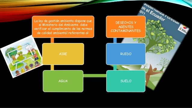 Agencia Estatal Bolet n Oficial del Estado