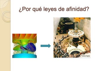 ¿Por qué leyes de afinidad?
 