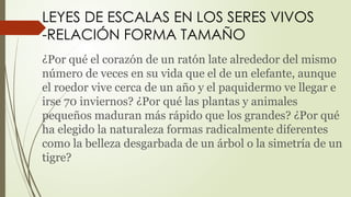 LEYES DE ESCALA (1) biofisica universidad | PPTX