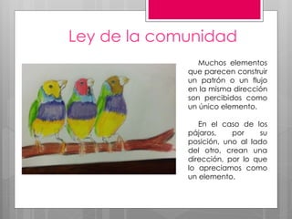 Ley de la comunidad
Muchos elementos
que parecen construir
un patrón o un flujo
en la misma dirección
son percibidos como
un único elemento.
En el caso de los
pájaros, por su
posición, uno al lado
del otro, crean una
dirección, por lo que
lo apreciamos como
un elemento.
 
