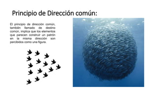 Principio de Dirección común:
El principio de dirección común,
también llamado de destino
común, implica que los elementos
que parecen construir un patrón
en la misma dirección son
percibidos como una figura.
 