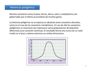 Agrupación de los alelos en los cigotos durante la fecundación19