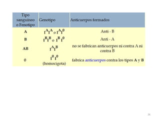 23En humanos se observa enAltura 
