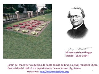 Sigue normas estadísticas sencillas3Monje austriaco Gregor Mendel (1822-1884)Jardín del monasterio agustino de Santo Tomás de Brunn, actual república Checa, donde Mendel realizó sus experimentos de cruces con el guisanteMendel Web: http://www.mendelweb.org/