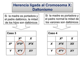 B (que incluye a los genotipos BB y B0)