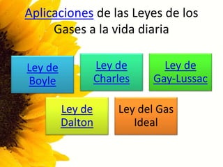 Aplicaciones de las Leyes de los
Gases a la vida diaria
Ley de
Boyle
Ley de
Charles
Ley de
Gay-Lussac
Ley de
Dalton
Ley del Gas
Ideal
 