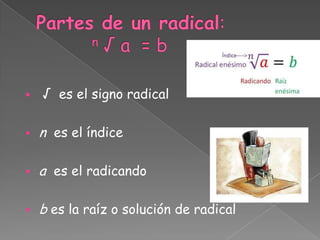    √ es el signo radical

   n es el índice

   a es el radicando

   b es la raíz o solución de radical
 