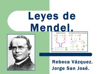 Leyes de  Mendel . Rebeca Vázquez. Jorge San José. 