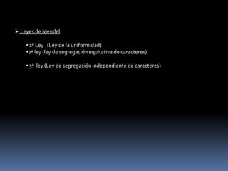  Homocigoto dominante (AA) 