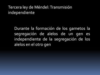  Leyes de Mendel: