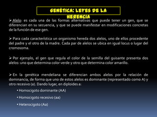 Desde este punto de vista, de transmisión de caracteres, estrictamente hablando no correspondería considerar la primera ley de Mendel (Ley de la uniformidad). Es un error muy extendido suponer que la uniformidad de los híbridos que Mendel observó en sus experimentos es una ley de transmisión, pero la dominancia nada tiene que ver con la transmisión, sino con la expresión del genotipoGenética: Leyes de la Herencia Alelo: es cada una de las formas alternativas que puede tener un gen, que se diferencian en su secuencia, y que se puede manifestar en modificaciones concretas de la función de ese gen.