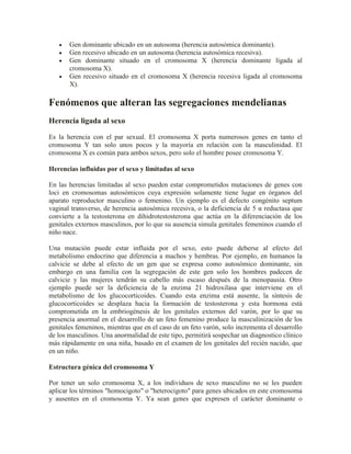 Gen dominante ubicado en un autosoma (herencia autosómica dominante).
       Gen recesivo ubicado en un autosoma (herencia autosómica recesiva).
       Gen dominante situado en el cromosoma X (herencia dominante ligada al
       cromosoma X).
       Gen recesivo situado en el cromosoma X (herencia recesiva ligada al cromosoma
       X).

Fenómenos que alteran las segregaciones mendelianas
Herencia ligada al sexo

Es la herencia con el par sexual. El cromosoma X porta numerosos genes en tanto el
cromosoma Y tan solo unos pocos y la mayoría en relación con la masculinidad. El
cromosoma X es común para ambos sexos, pero solo el hombre posee cromosoma Y.

Herencias influidas por el sexo y limitadas al sexo

En las herencias limitadas al sexo pueden estar comprometidos mutaciones de genes con
loci en cromosomas autosómicos cuya expresión solamente tiene lugar en órganos del
aparato reproductor masculino o femenino. Un ejemplo es el defecto congénito septum
vaginal transverso, de herencia autosómica recesiva, o la deficiencia de 5 α reductasa que
convierte a la testosterona en dihidrotestosterona que actúa en la diferenciación de los
genitales externos masculinos, por lo que su ausencia simula genitales femeninos cuando el
niño nace.

Una mutación puede estar influida por el sexo, esto puede deberse al efecto del
metabolismo endocrino que diferencia a machos y hembras. Por ejemplo, en humanos la
calvicie se debe al efecto de un gen que se expresa como autosómico dominante, sin
embargo en una familia con la segregación de este gen solo los hombres padecen de
calvicie y las mujeres tendrán su cabello más escaso después de la menopausia. Otro
ejemplo puede ser la deficiencia de la enzima 21 hidroxilasa que interviene en el
metabolismo de los glucocorticoides. Cuando esta enzima está ausente, la síntesis de
glucocorticoides se desplaza hacia la formación de testosterona y esta hormona está
comprometida en la embriogénesis de los genitales externos del varón, por lo que su
presencia anormal en el desarrollo de un feto femenino produce la masculinización de los
genitales femeninos, mientras que en el caso de un feto varón, solo incrementa el desarrollo
de los masculinos. Una anormalidad de este tipo, permitirá sospechar un diagnostico clínico
más rápidamente en una niña, basado en el examen de los genitales del recién nacido, que
en un niño.

Estructura génica del cromosoma Y

Por tener un solo cromosoma X, a los individuos de sexo masculino no se les pueden
aplicar los términos "homocigoto" o "heterocigoto" para genes ubicados en este cromosoma
y ausentes en el cromosoma Y. Ya sean genes que expresen el carácter dominante o
 