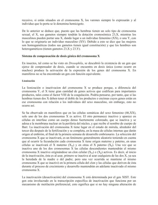 recesivo, si están situados en el cromosoma X, los varones siempre lo expresarán y al
individuo que lo porta se le denomina hemicigoto.

De lo anterior se deduce que, puesto que las hembras tienen un solo tipo de cromosoma
sexual, el X, sus gametos siempre tendrán la dotación cromosómica 23,X, mientras los
masculinos pueden portar una X, dando lugar a un individuo femenino (XX), o una Y, con
lo que se originaría un individuo masculino (XY). Debido a esto se dice que las mujeres
son homogaméticas (todos sus gametos tienen igual constitución) y que los hombres son
heterogaméticos (tienen gametos 23,X y 23,Y).

Sistema de compensación de dosis génica del cromosoma X

En insectos, tal como se ha visto en Drosophila, se descubrió la existencia de un gen que
ejerce de compensador de dosis, cuando se encuentra en dosis única (como ocurre en
machos) produce la activación de la expresión de los genes del cromosoma X. En
mamíferos no se ha encontrado un gen con función equivalente.

Lionización

La lionización o inactivacion del cromosoma X se produce porque, a diferencia del
cromosoma Y, el X tiene gran cantidad de genes activos que codifican para importantes
productos, tales como el factor VIII de la coagulación. Podría pensarse, por tanto, que si las
hembras tienen dos X deben tener el doble de los productos o enzimas cuyos genes están en
ese cromosoma con relación a los individuos del sexo masculino, sin embargo, esto no
ocurre así.

Se ha observado en mamíferos que en las células somáticas del sexo femenino (46,XX),
solo uno de los dos cromosomas X es activo. El otro permanece inactivo y aparece en
células en interfase como un cuerpo denso fuertemente coloreado, que se inactiva y se
adosa a la membrana nuclear en la periferia del núcleo, y que recibe el nombre de cuerpo de
Barr. La inactivación del cromosoma X tiene lugar en el estado de mórula, alrededor del
tercer día después de la fertilización y se completa, en la masa de células internas que darán
origen al embrión, al final de la primera semana de desarrollo embrionario. La selección del
cromosoma X que se inactivará, es un fenómeno generalmente aleatorio teniendo en cuenta
que al ocurrir la fecundación cada cromosoma X tiene origen materno y paterno, en unas
células se inactivará el X materno (Xm) y en otras el X paterno (Xp). Una vez que se
inactiva uno de los dos cromosomas X las células descendientes mantendrán el mismo
cromosoma X inactivo originándose un clon celular (Xm) o (Xp) activos. Es decir, al inicio
de la inactivación, ésta es al azar, primero se inactiva al azar cualquiera de las dos X, ya sea
la heredada de la madre o del padre; pero una vez ocurrida se mantiene el mismo
cromosoma X que se inactivó en la primera célula del clon y las células que deriven de ésta
durante el proceso de crecimiento y desarrollo mantendrán en adelante inactivado el mismo
cromosoma X.

La inactivación (desactivación) del cromosoma X está determinada por el gen XIST. Este
gen esta involucrado en la transcripción específica de inactivación que funciona por un
mecanismo de metilación preferencial, esto significa que si no hay ninguna alteración de
 