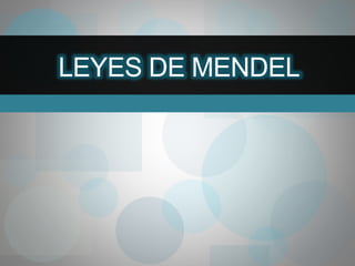 LEYES DE MENDEL
 