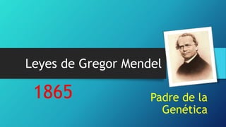 Leyes de Gregor Mendel
1865 Padre de la
Genética
 