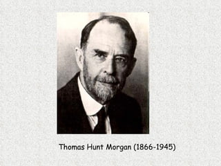 Thomas Hunt Morgan (1866-1945) 