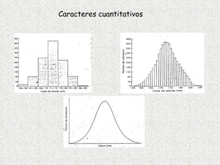 Caracteres cuantitativos 