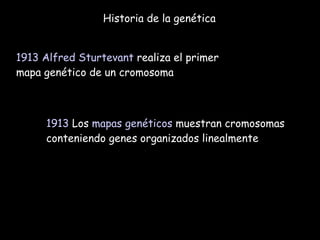 Historia de la genética 1913   Alfred Sturtevant  realiza el primer mapa genético de un cromosoma 1913  Los  mapas genéticos  muestran cromosomas conteniendo genes organizados linealmente   
