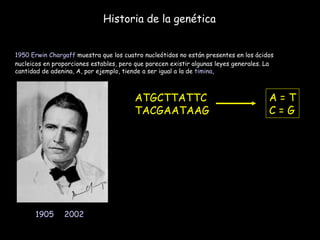 Historia de la genética 1950   Erwin Chargaff  muestra que los cuatro nucleótidos no están presentes en los ácidos nucleicos en proporciones estables, pero que parecen existir algunas leyes generales. La cantidad de adenina, A, por ejemplo, tiende a ser igual a la de  timina ,  1905  -  2002 )  ATGCTTATTC TACGAATAAG A = T C = G 
