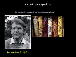 Historia de la genética Barbara McClintock  descubre el  transposones  en el maíz  November 7, 1983  