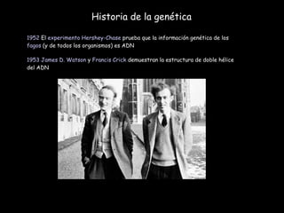 Historia de la genética 1952  El  experimento Hershey-Chase  prueba que la información genética de los  fagos  (y de todos los organismos) es ADN  1953   James D. Watson  y  Francis Crick  demuestran la estructura de doble hélice del ADN 
