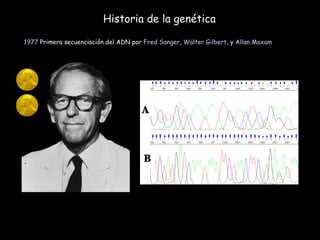 Historia de la genética 1977  Primera secuenciación del ADN por  Fred Sanger ,  Walter Gilbert , y  Allan Maxam   