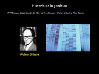 Historia de la genética 1977  Primera secuenciación del ADN por  Fred Sanger ,  Walter Gilbert , y  Allan Maxam   Walter Gilbert 