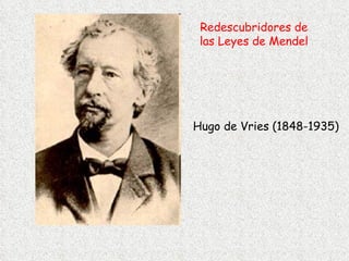 Hugo de Vries (1848-1935) Redescubridores de las Leyes de Mendel 