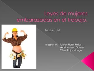 Seccion: 11-3




Integrantes: Fabian Flores Fallas
             Yendry Mena Gomez
             César Rojas Monge
 
