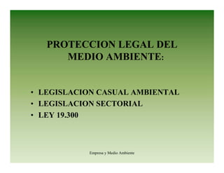 Empresa y Medio Ambiente
PROTECCION LEGAL DEL
MEDIO AMBIENTE:
• LEGISLACION CASUAL AMBIENTAL
• LEGISLACION SECTORIAL
• LEY 19.300
 
