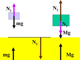 N1             N2

     mg             N1
                    Mg
          N2

mg                   Mg
 