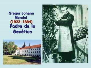 Gregor JohannGregor Johann
MendelMendel
(1822-1884)(1822-1884)
Padre de laPadre de la
GenéticaGenética
 
