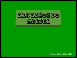 www.cajondeciencias.com
Las leyes de
Mendel
 