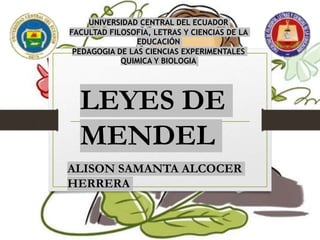 UNIVERSIDAD CENTRAL DEL ECUADOR
FACULTAD FILOSOFIA, LETRAS Y CIENCIAS DE LA
EDUCACIÓN
PEDAGOGIA DE LAS CIENCIAS EXPERIMENTALES
QUIMICA Y BIOLOGIA
LEYES DE
MENDEL
ALISON SAMANTA ALCOCER
HERRERA
 