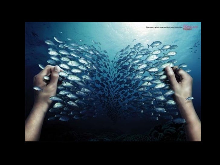 Resultado de imagen de ley de proximidad publicidad